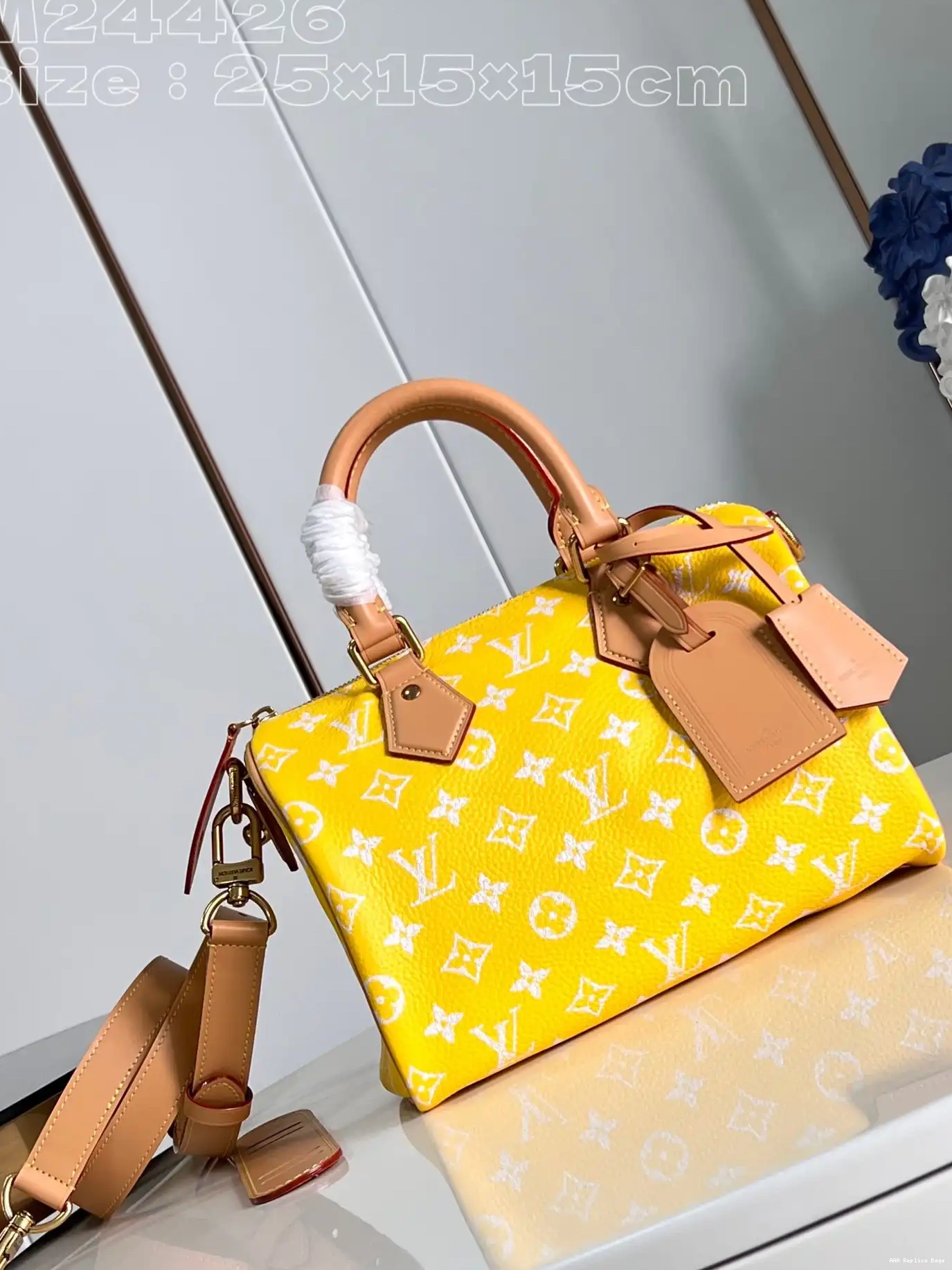 Aaa replica bags 25 Louis SPEEDY Vuitton 0529